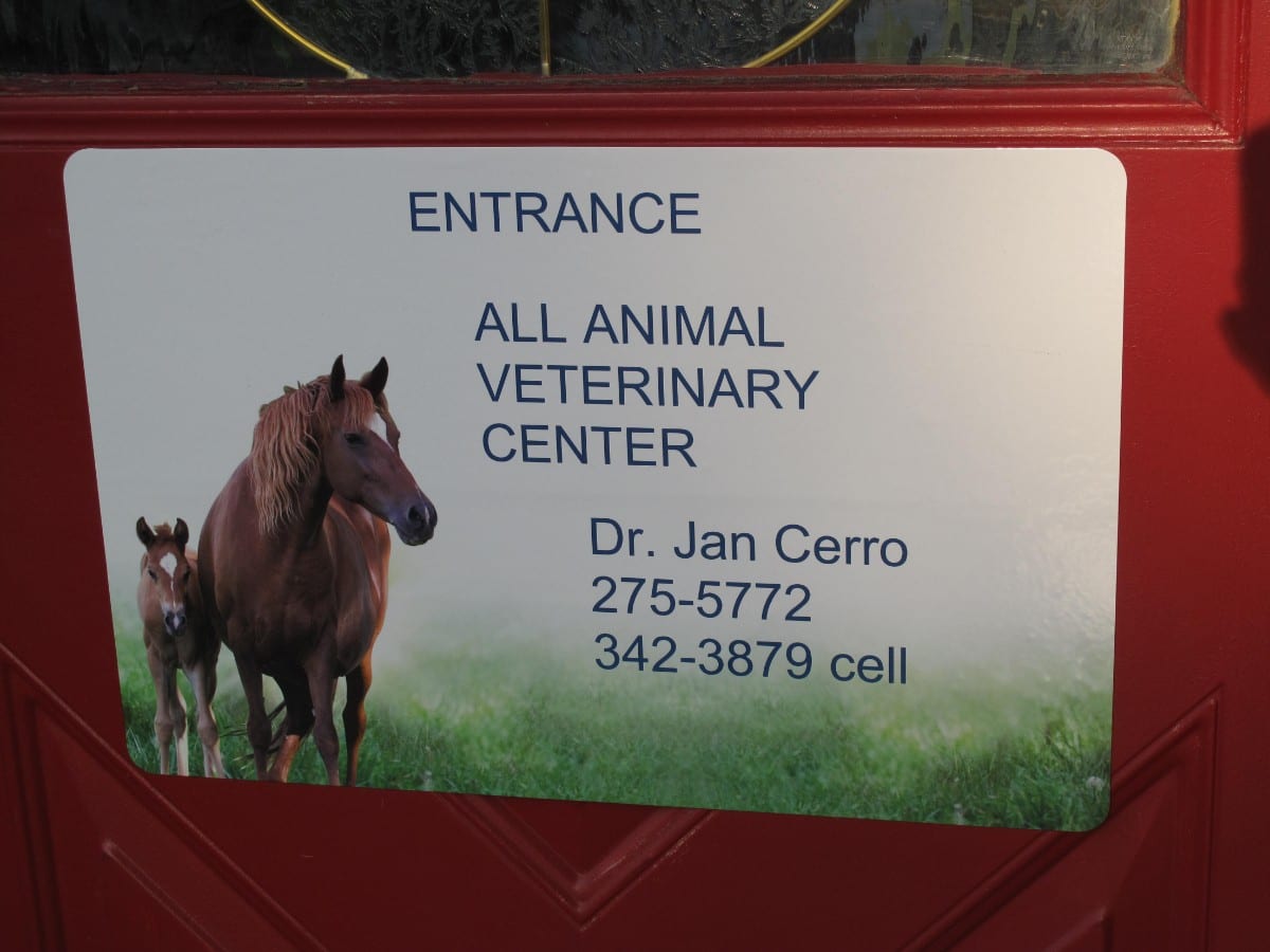 All Animal Veterinary Center